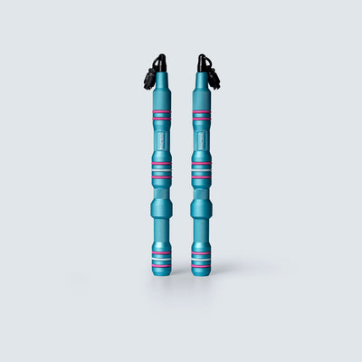 Erweiterungen Insigne 